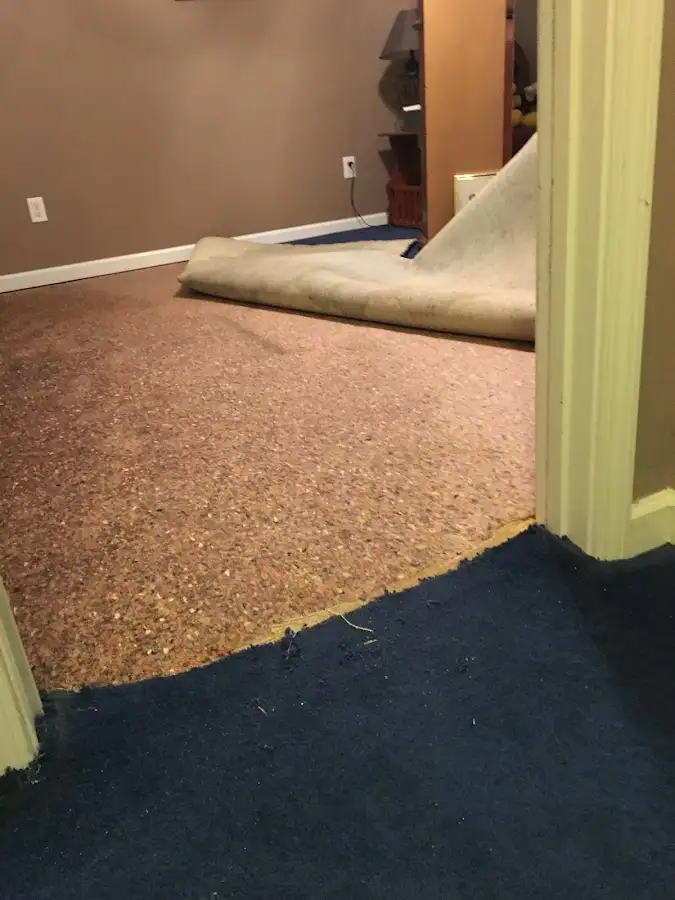 Carpet pad removal revealing water damage during Water Mitigation Services in Lower Makefield