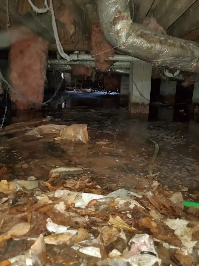 Crawl space flood assessment for Leak Detection & Repair in Lower Makefield